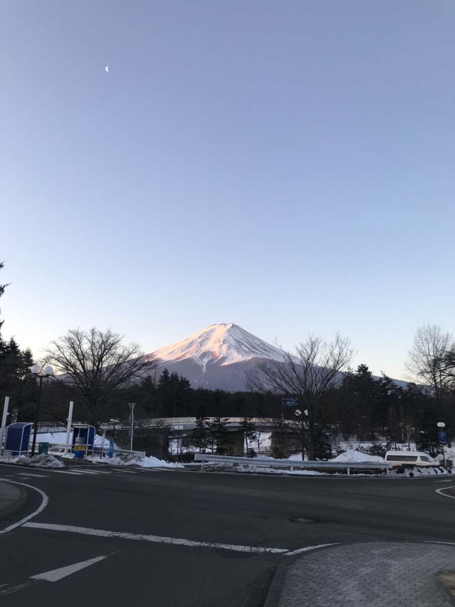 コラム：サムネイル画像