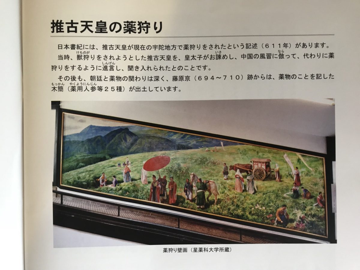 コラム：サムネイル画像