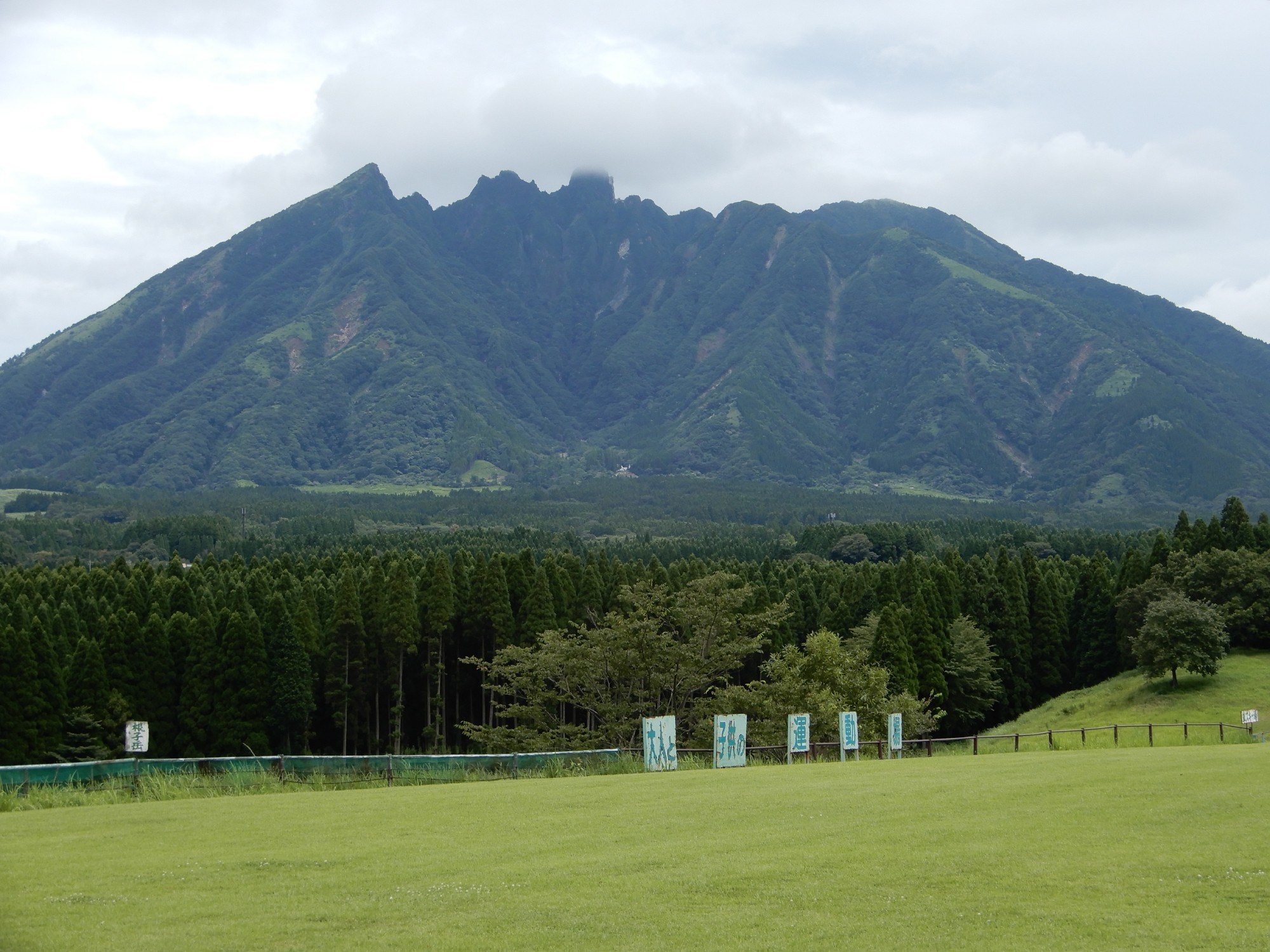 コラム：サムネイル画像