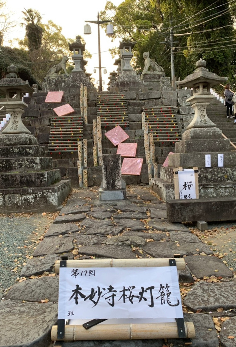 コラム：サムネイル画像