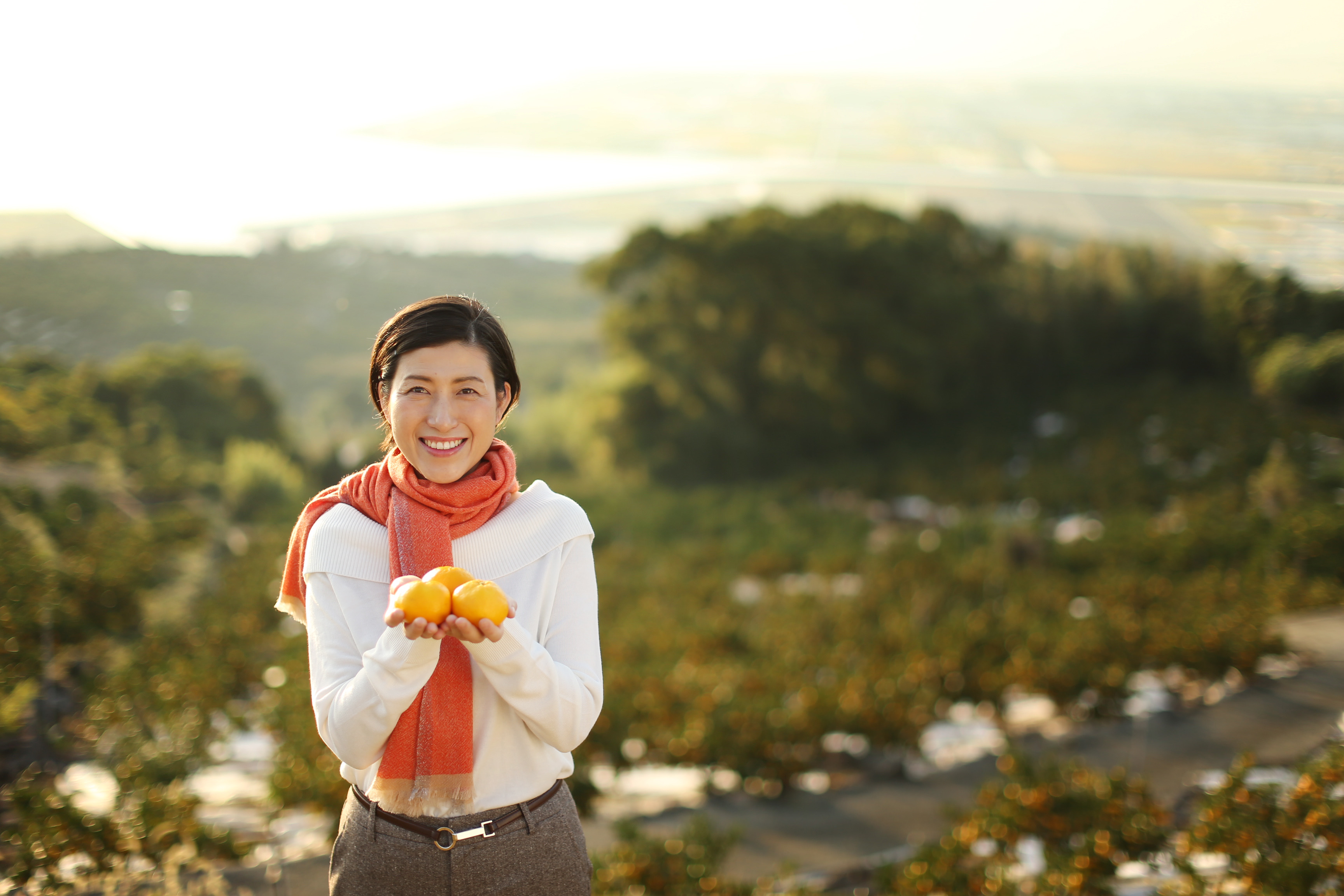 コラム：サムネイル画像